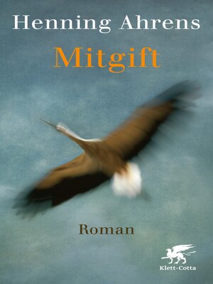 cover image of Mitgift